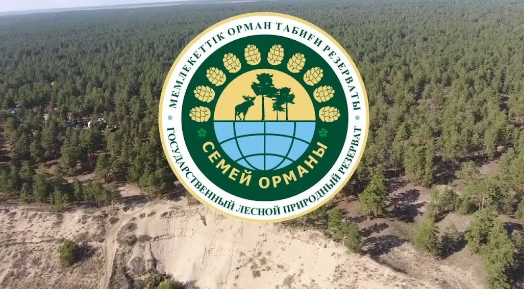 Государственный лесной природный резерват «Семей орманы» 2