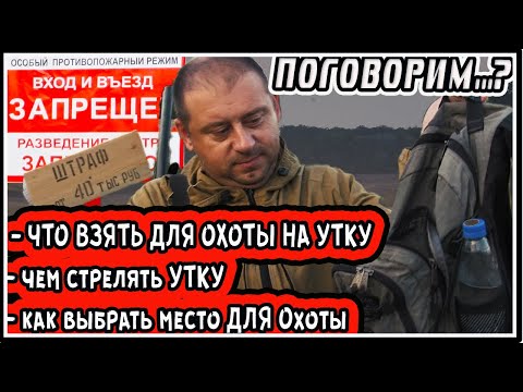 Охота на утку: пособие для начинающих