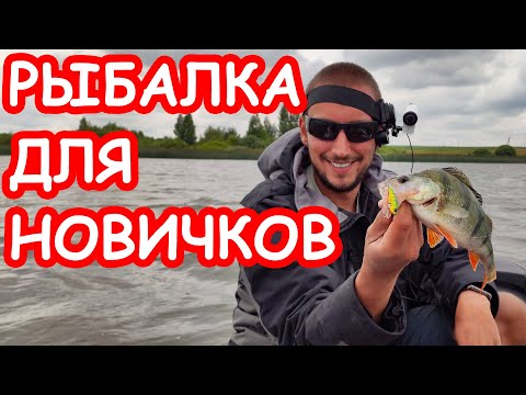 Спиннинг на щуку и окуня: основы