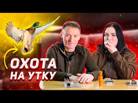 Охота на утку: оружие, патроны, тактика