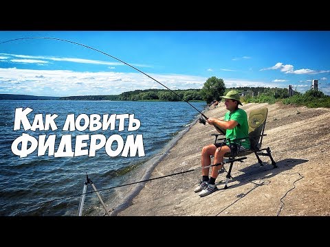 Фидерная ловля для начинающих